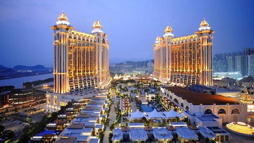 新澳2023年一肖一马中特|探索澳门魅力与文化风情_交流版.0.686