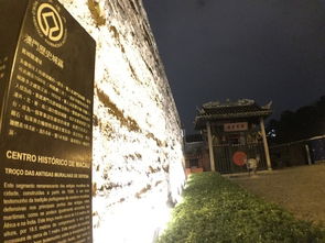 香港正版资料免费公开100|探秘澳门独特魅力与文化_初级版.5.552