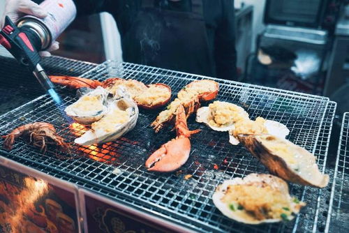 香港最快免费资料网站|探索澳门隐藏美食与文化_试玩版.6.768