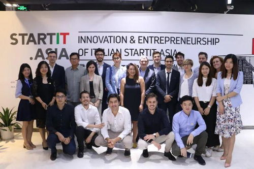 澳门王中精选2022|探秘澳门独特魅力与文化_XP款.0.454