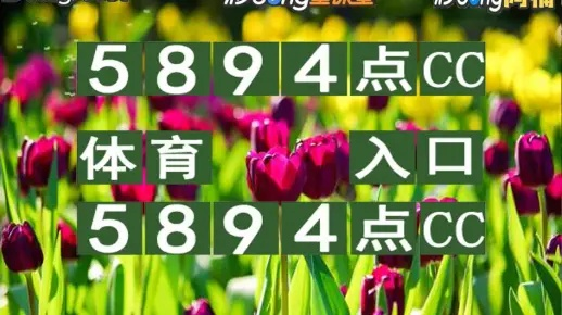 2024澳门特马开奖260期|广泛的解释落实方法分析_电影款.7.540