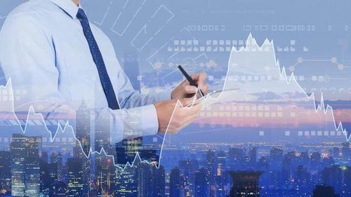 今年牛市什么时候结束|真实数据解释落实_智能版.2.203