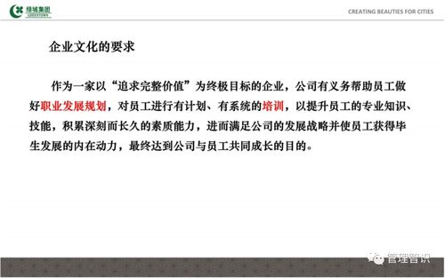 新澳大众官网最新资料|实践分析解释落实_远程版.8.854