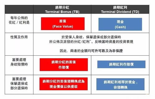 2024香港港六资料查询|解析时代背景下的资料解读_实况款.3.528