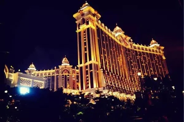 新澳门今晚必开一肖一特|月夜下的星辰与梦想_弹性款.2.313