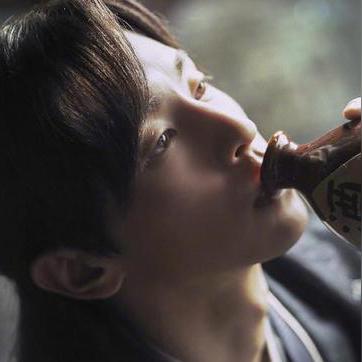 凤凰劫澳版网站四不像|探索新兴旅游胜地的魅力_创新版.9.332