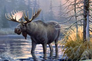 四不像正版资料|探索未来科技的无限可能_综合版.5.643