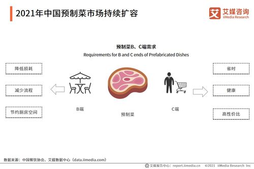 2024新奥免费资料领取|综合研究解释落实_银版.1.934