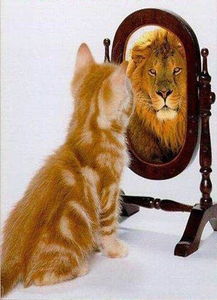 新澳门四不像图片大全2024年|确保成语解释落实的问题_进阶款.1.755 新澳门四不像图片大全2024年|确保成语解释落实的问题_进阶款.1.755