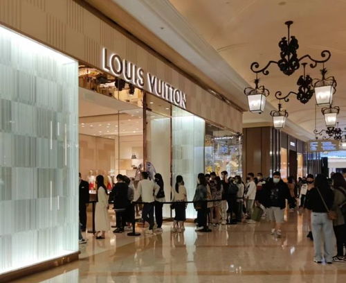 澳门杀料专区网站大全|动态分析解释落实_发布版.8.409