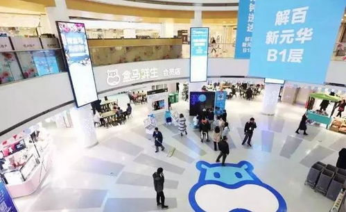 新奥门特马资料大全管家婆料|探寻生活中的小确幸_pack.5.498