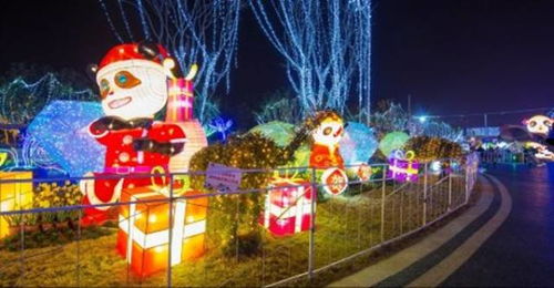 新奥彩今天晚上开奖号|探寻城市中的隐秘美景_探险版THE.3.781