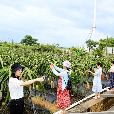 新澳资料免费资料大全|实地解答解释落实_自在版.4.143 新澳资料免费资料大全|实地解答解释落实_自在版.4.143