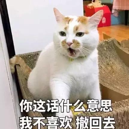 四不像今晚出什么生肖|探索城市新风尚与秘密角落_Z.2.421