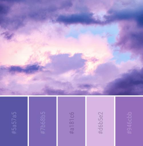 新澳天天彩免费资料2024老|自然之美与心灵之旅_创新版Hdd.3.770