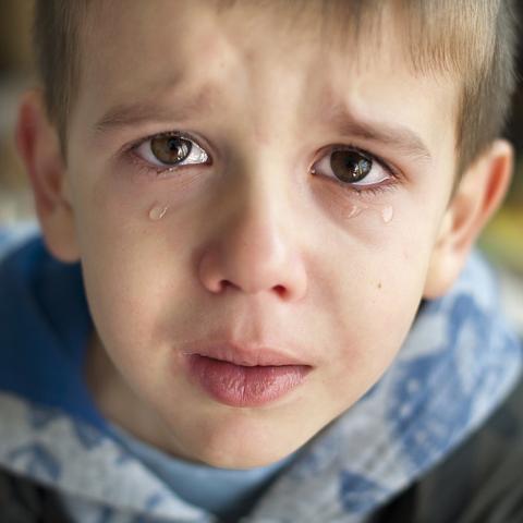 2024澳门特马今晚开奖176期|综合解答解释落实_财务制.8.986