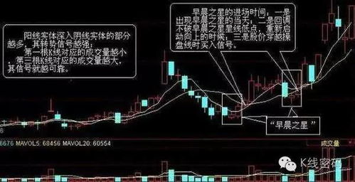 管家婆正版四不像新版|神秘法则揭示成功秘籍_维护版.7.262