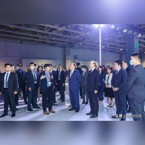 2024王中王资料免费领取|综合数据解释落实_统筹版.8.711