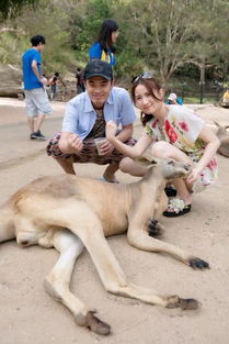 新澳2024四不像118期正版|诠释解析落实_VIP2.135