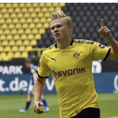 四不像正版资料291期|保障成语理解的准确性_领航型.0.936