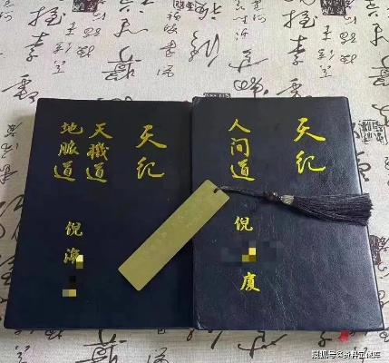 新奥门特免费资料大全管家婆料|保障成语理解的准确性_视频集.1.660