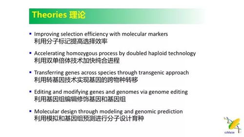2024年今晚新澳256期资料|经典理论的有效解读与应用_习作版.4.733