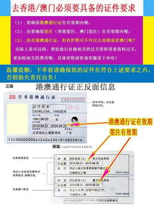 新澳门天天免费资料大全|真实解答解释落实_mShop.1.676