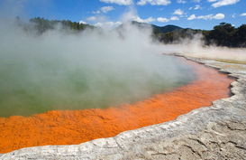 7777788888精准免费四肖|探索澳门的秘密与美景_超强款.7.447