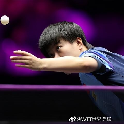 2023澳门精准一肖100准|智能解答解释落实_普及型.9.176