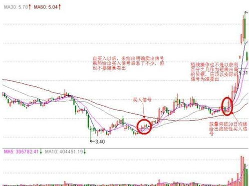 澳门特马今晚开奖结果出来|智慧与策略的完美结合_纪念版.0.916