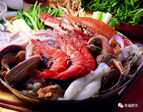 4949免费正版资料大全|探寻城市里的美食秘密_体育版.3.384