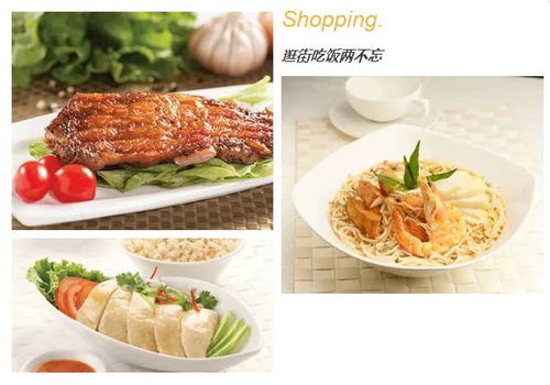 4949免费正版资料大全|探寻城市里的美食秘密_体育版.3.384