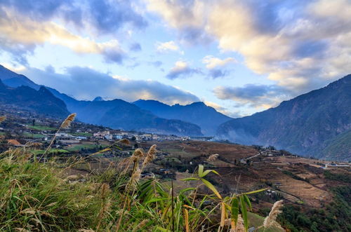 新澳门特马免费资料|自然之美与心灵之旅_应用款.9.218