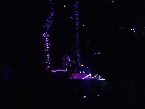 新澳最新最快资料|月夜下的星辰与梦想_维护制.3.293