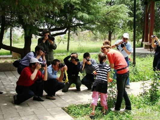 新奥门资料精准网站|探索生活中的细腻瞬间_户外版.3.690