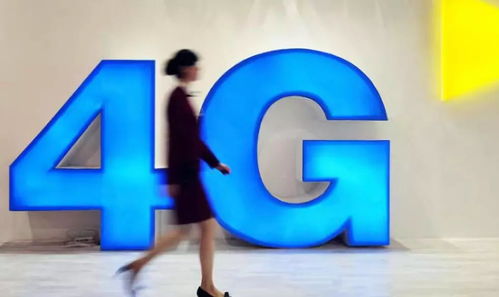 新奥门特免费资料查询139期|综合数据解释落实_未来版SSIP.4.879