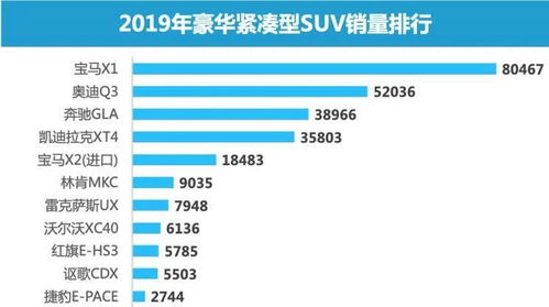新奥门特免费资料查询139期|综合数据解释落实_未来版SSIP.4.879