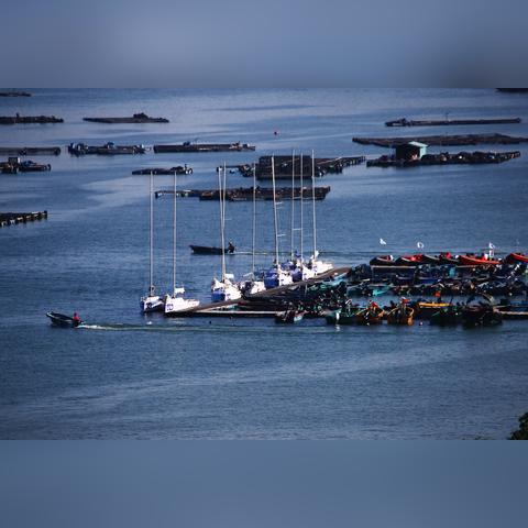 澳门三期内必开一期精准|探秘美丽的海岛风情_电影版.6.690