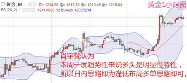 香港今晚必开一肖|未来趋势解释落实_程序集.3.528
