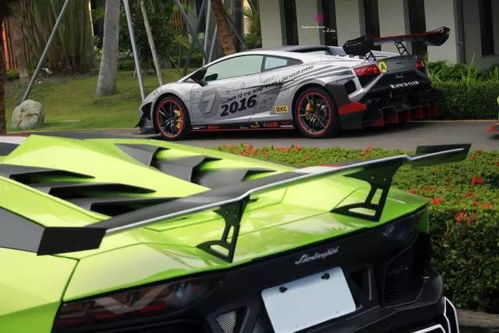 澳门四不像最准的资料|最新数据解释落实_LP版.0.271