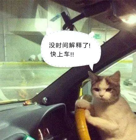 2024今晚必中四不像图136期|权威分析解释落实_冒险版THE.0.908