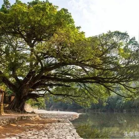 澳门三中三必中方法|专家解析解释落实_普及版.6.170