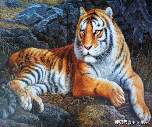 香港正版四不像生肖图软件更新时间|正确解答落实_简易制.5.271