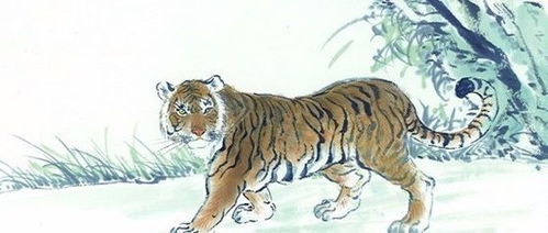 香港正版四不像生肖图软件更新时间|正确解答落实_简易制.5.271