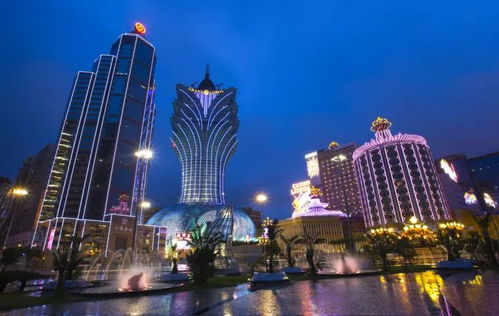 新澳门天天开奖资料大全309期|探秘美丽的海岛风情_潮流版IP.2.726