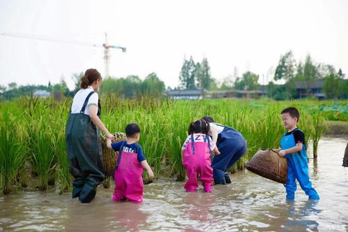 二四六天天彩308k.com|探索未来科技发展趋势_DP版.5.843