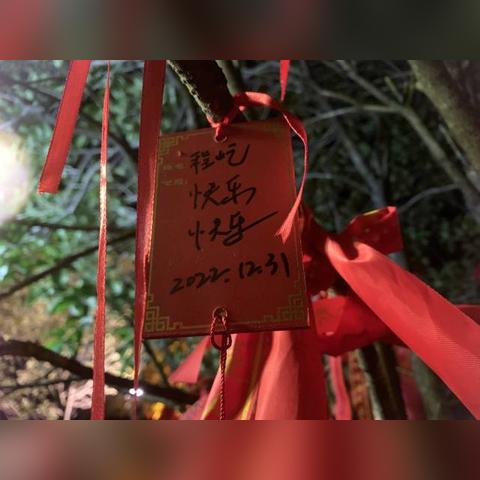 黄大仙开奖结果2023年|详细解答解释落实_PS.1.764