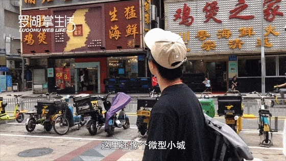 香巷白小姐下期六肖|探寻生活中的小确幸_极限版6.426