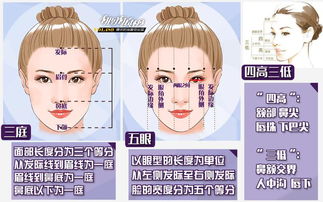 最准三码中特真准|探索人生的无限可能_启蒙版.5.149