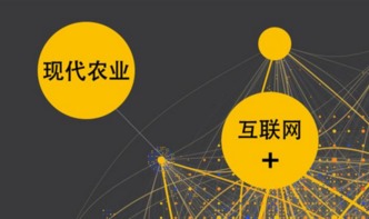2024新澳门今天晚上开什么生肖|科学数据解释落实_潜能版.9.140